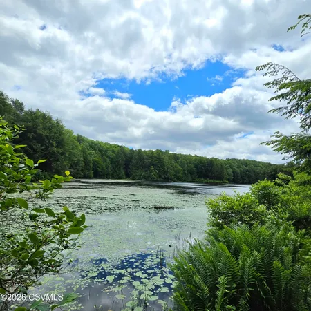 $145,000 | Lot 9 Deep Hollow Run, Dushore, PA 18614