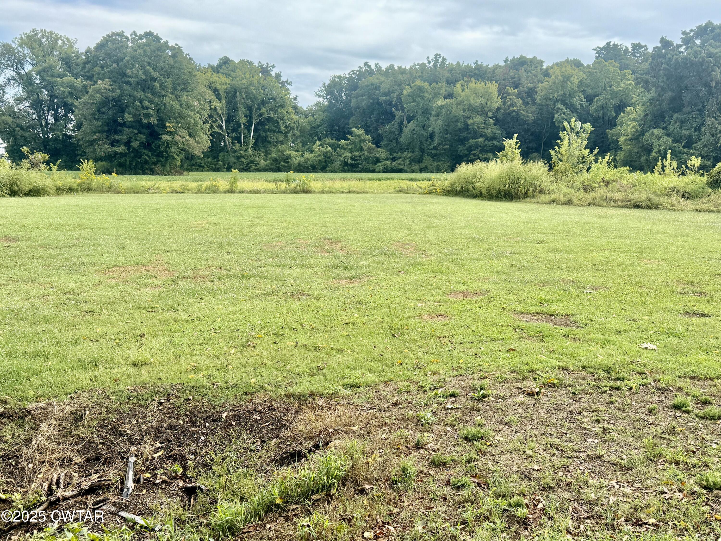 0 Magnolia Road Tiptonville, TN 38079 - Photo 2 of 3 IMG_8388