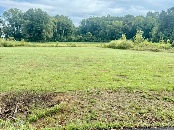 $44,900 | 0 Magnolia Road, Tiptonville, TN 38079