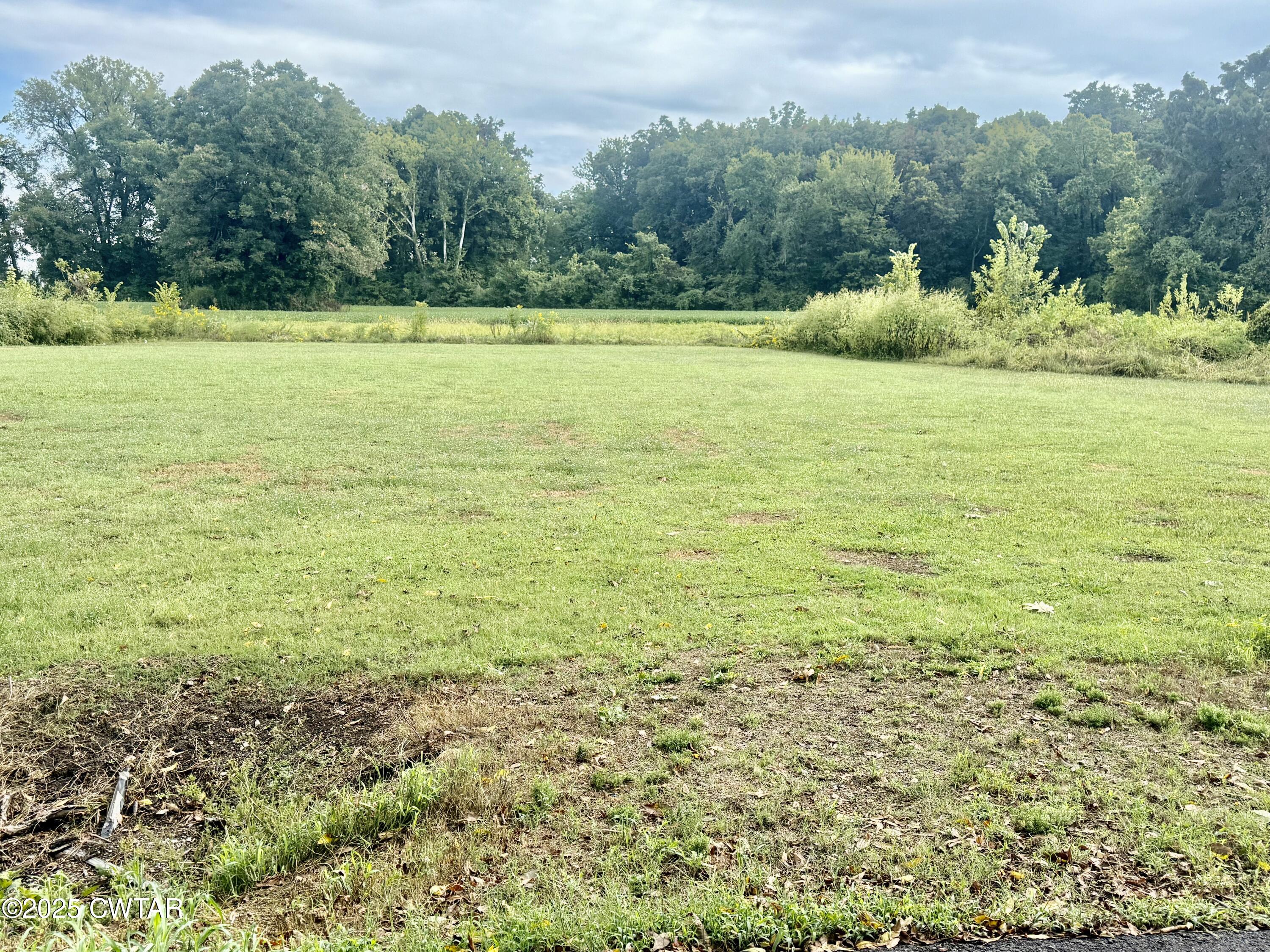 0 Magnolia Road Tiptonville, TN 38079 - Photo 3 of 3 IMG_8389