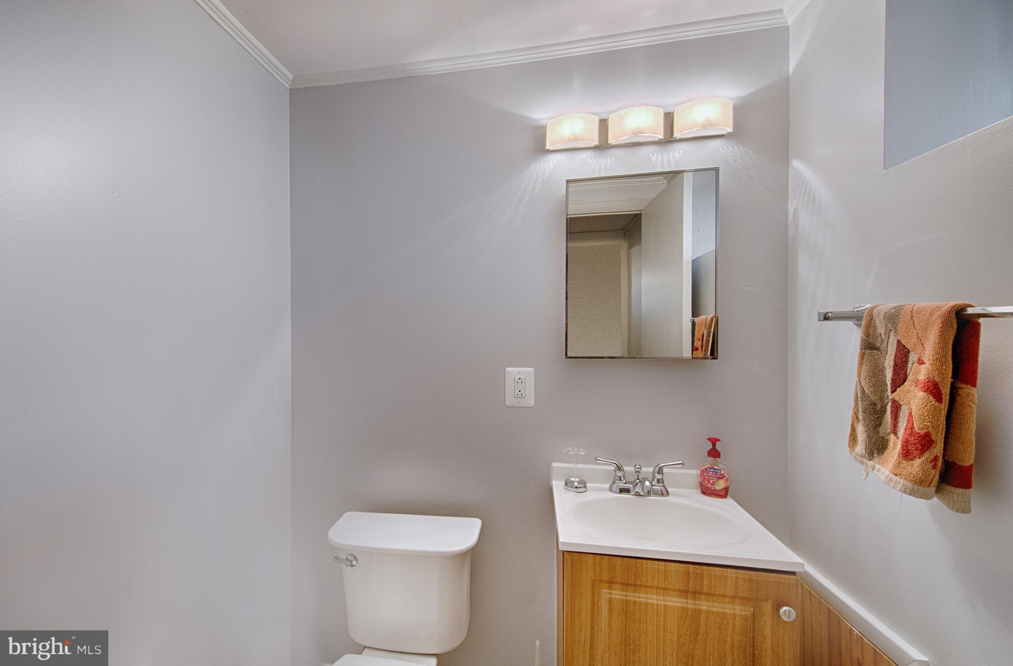 3302 Ben Valley Road Baltimore, MD 21244 - Photo 21 of 24 Bath