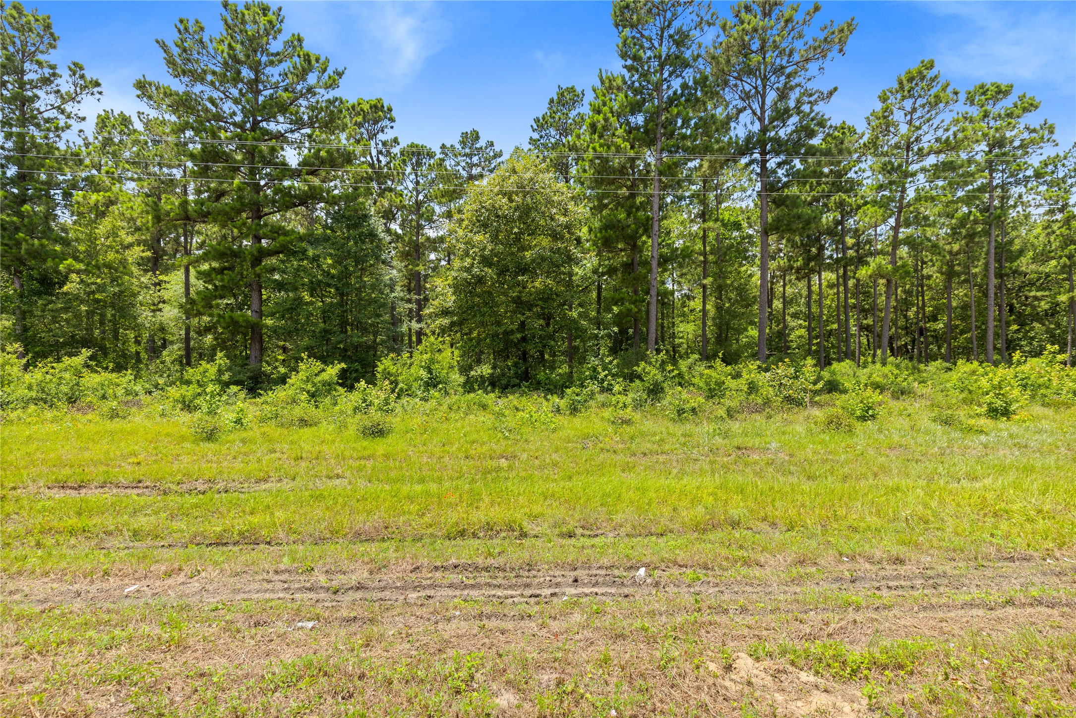 0 Fm 230 Trinity, TX 75862 - Photo 5 of 7 Gallery Image 5