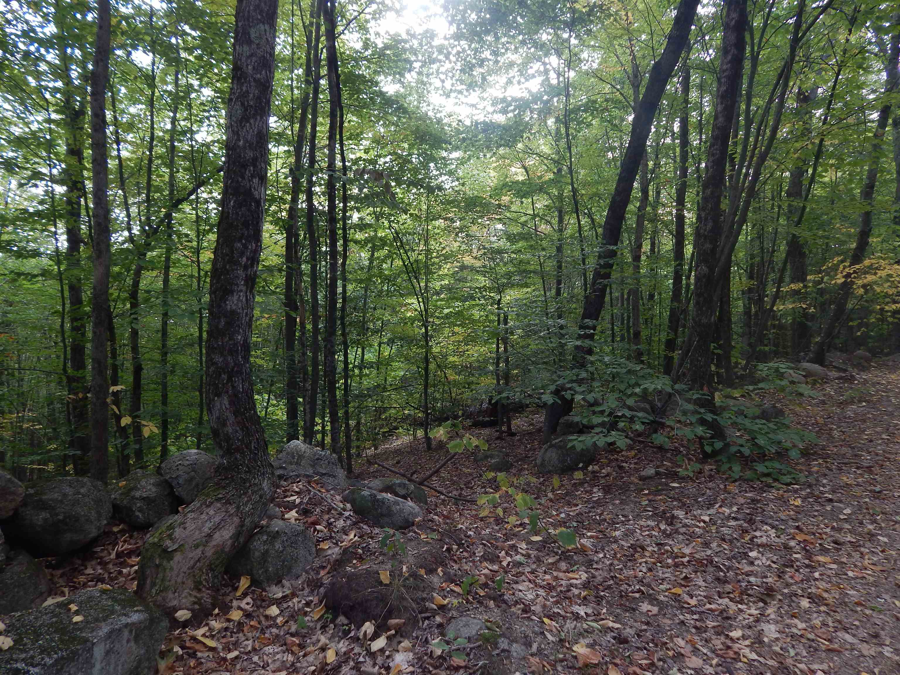 R13-l50 Corn Hill Road Brownfield, ME 04010 - Photo 2 of 4