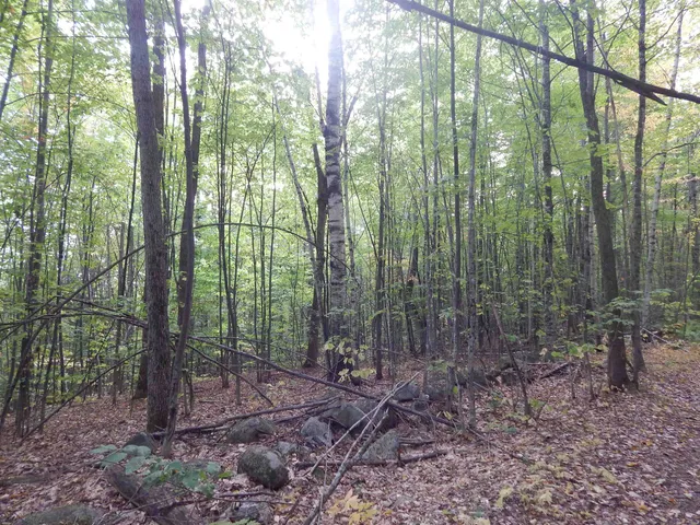 $280,000 | R13-l50 Corn Hill Road, Brownfield, ME 04010