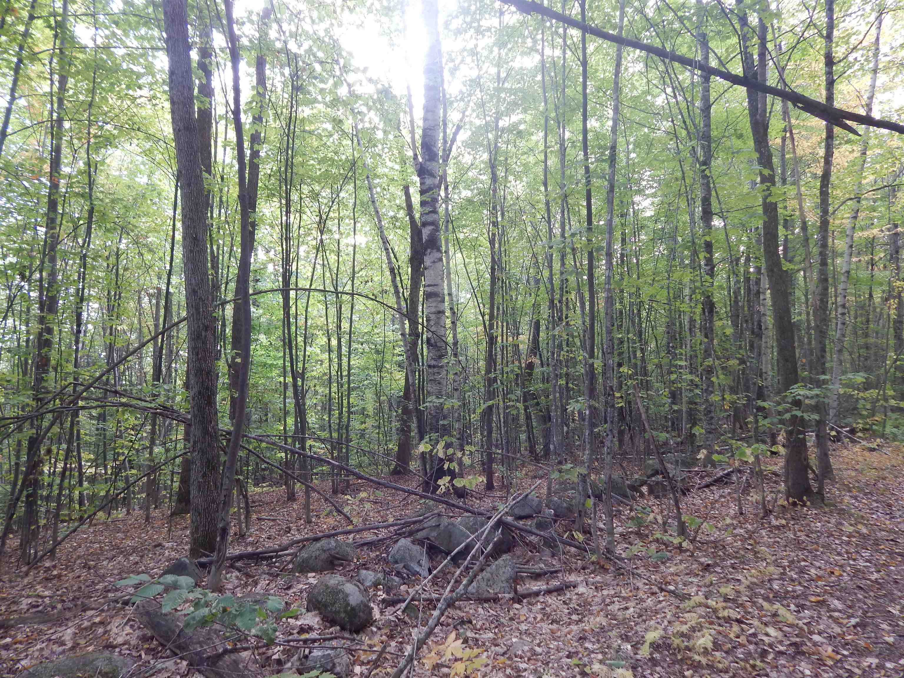 R13-l50 Corn Hill Road Brownfield, ME 04010 - Photo 3 of 4