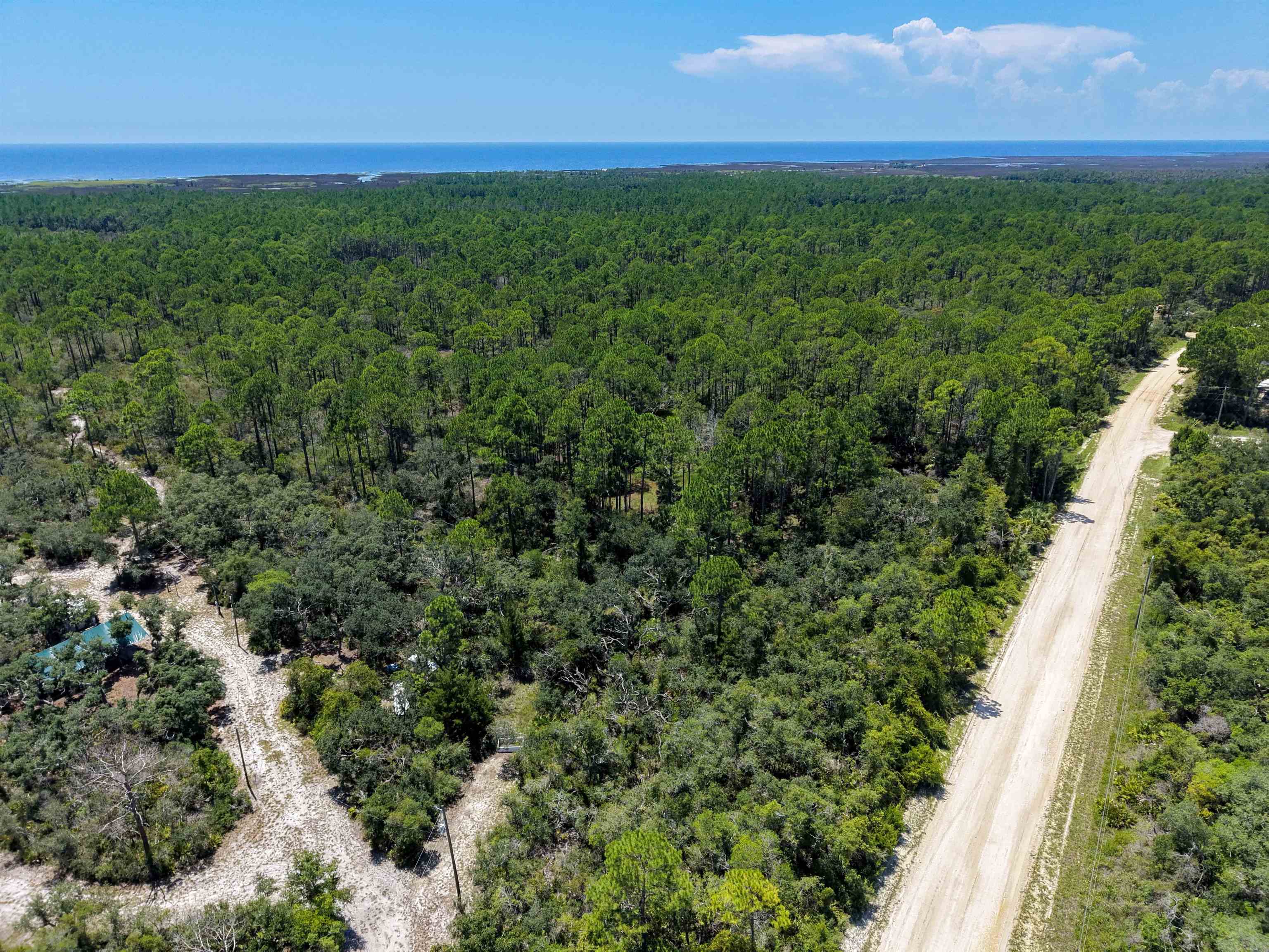 3499 Yates Creek Road Perry, FL 32348 - Photo 9 of 12 Gallery Image 9