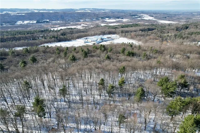 $695,000 | 0 Route 92 Cazenovia Ny 13035, Cazenovia, NY 13035