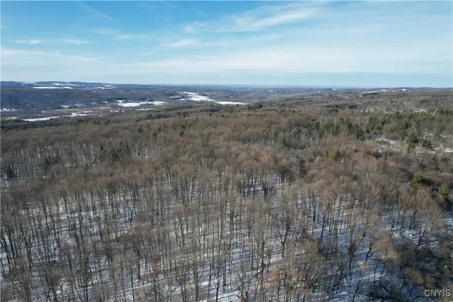 $695,000 | 0 Route 92 Cazenovia Ny 13035, Cazenovia, NY 13035