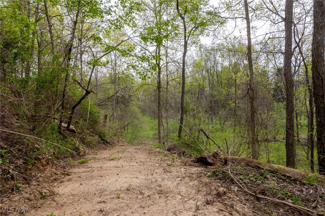 511 State Route Ashland, OH 44805 - Photo 20 of 42 View of landscape with a forest view