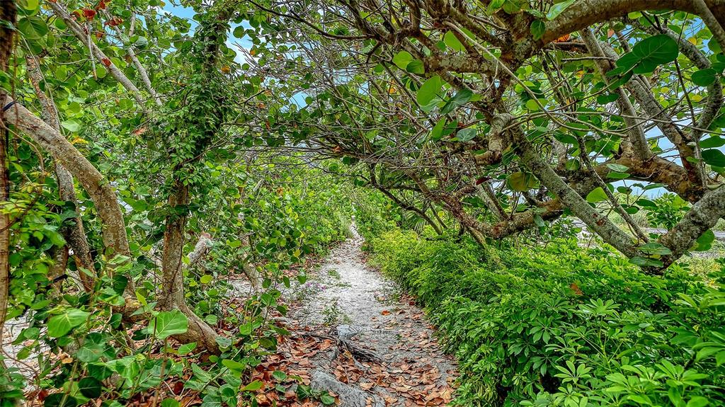 616 South Casey Key Road Nokomis, FL 34275 - Photo 38 of 39
