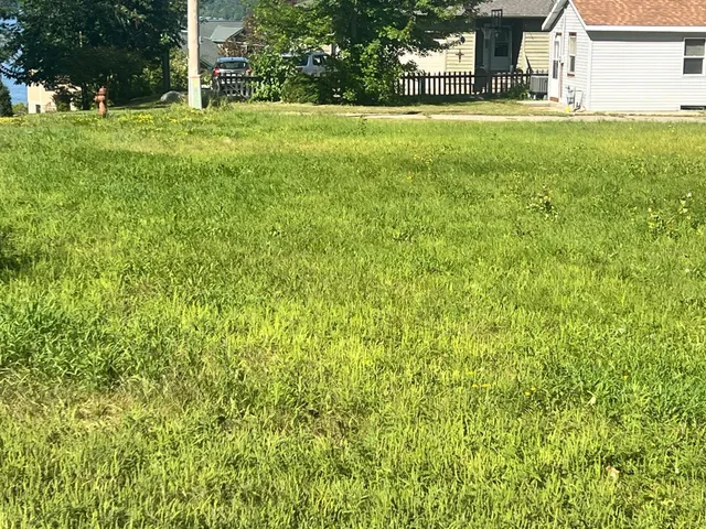 $100,000 | Tbd Garden Street, Walker, MN 56484