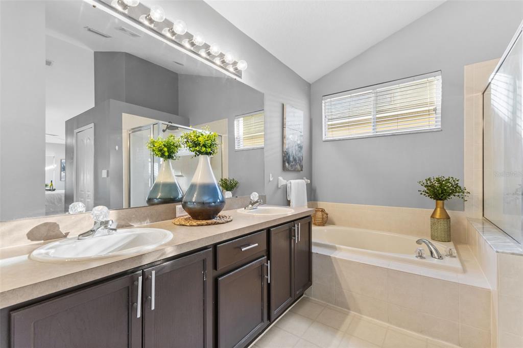 1422 Trail Boss Lane Brandon, FL 33511 - Photo 15 of 31 a bathroom with a granite countertop tub sink and mirror