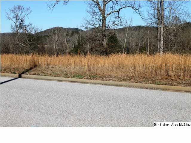 Mount Eagle Lane, Unit 2 Weaver, AL 36277 - Photo 16 of 26