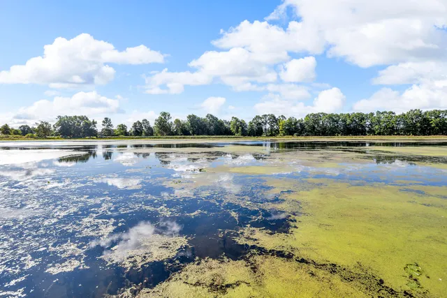 $325,000 | 585 Norvell Beach Drive, Brooklyn, MI 49230