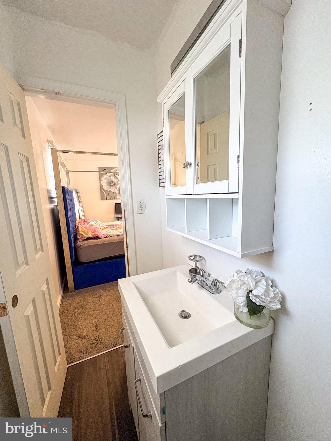 750 Miller Drive Dover, DE 19901 - Photo 16 of 49 a bathroom with sink and mirror