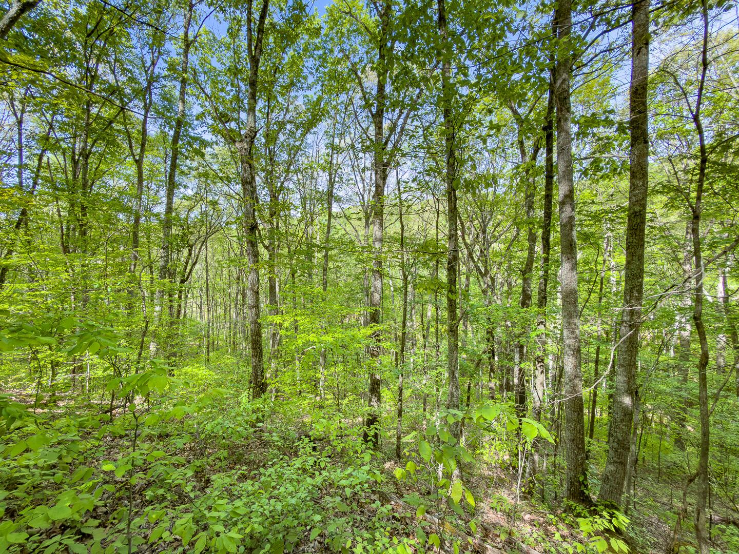 2 Perry Ridge Road Wilkesville, OH 45695 - Photo 22 of 27 Perry Ridge Rd Tract 2-14