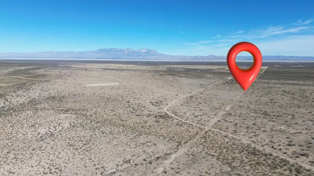 a view of a dry yard with wooden floor
