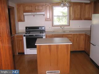 532 Jackson Road Atco, NJ 08004 - Photo 3 of 6