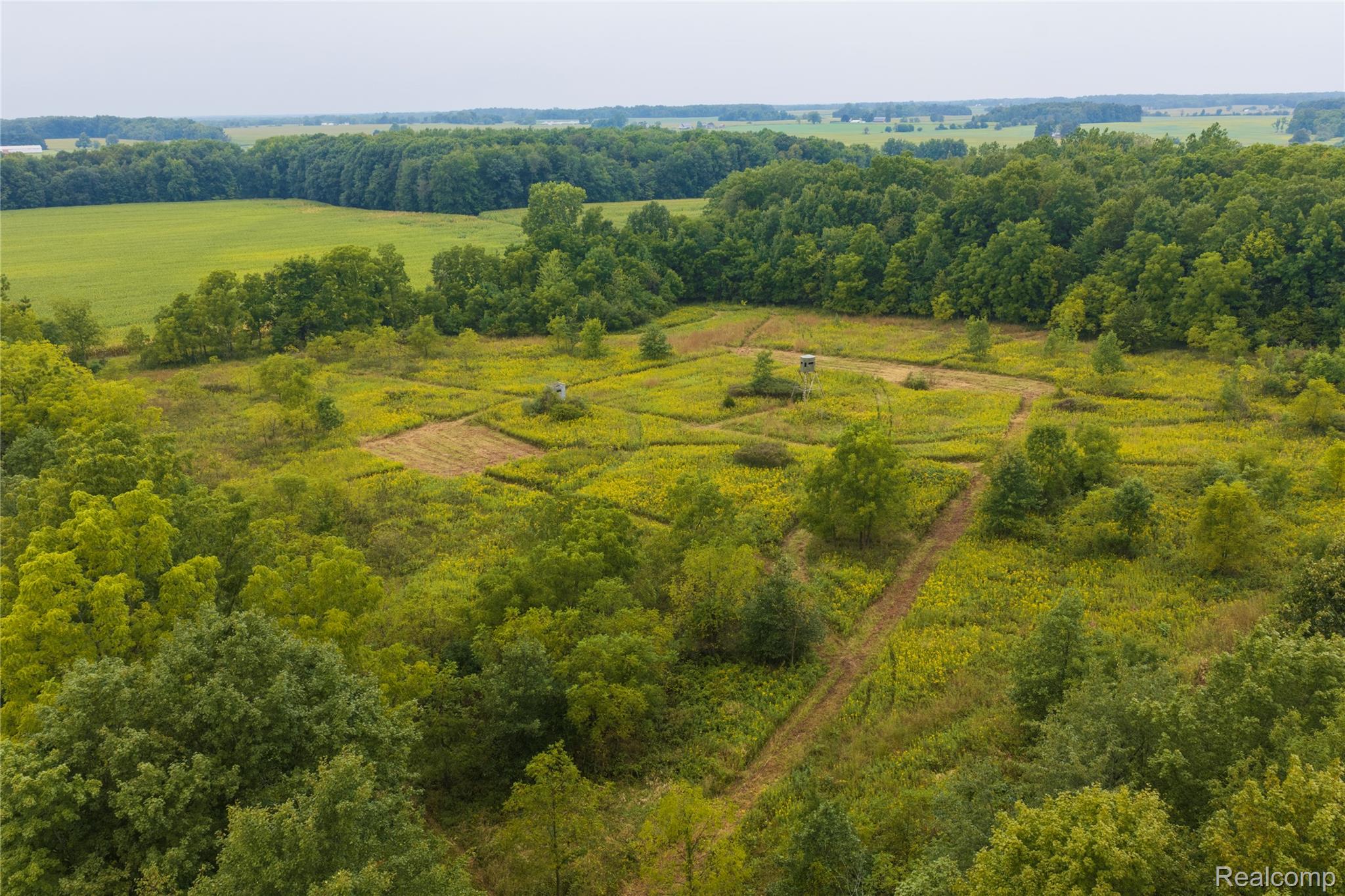 10582 Grover Road Reading, MI 49274 - Photo 9 of 18 9 Reading North CRP 3.jpg