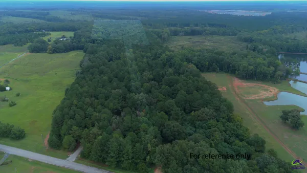 $349,000 | Grovania Road, Elko, GA 31025