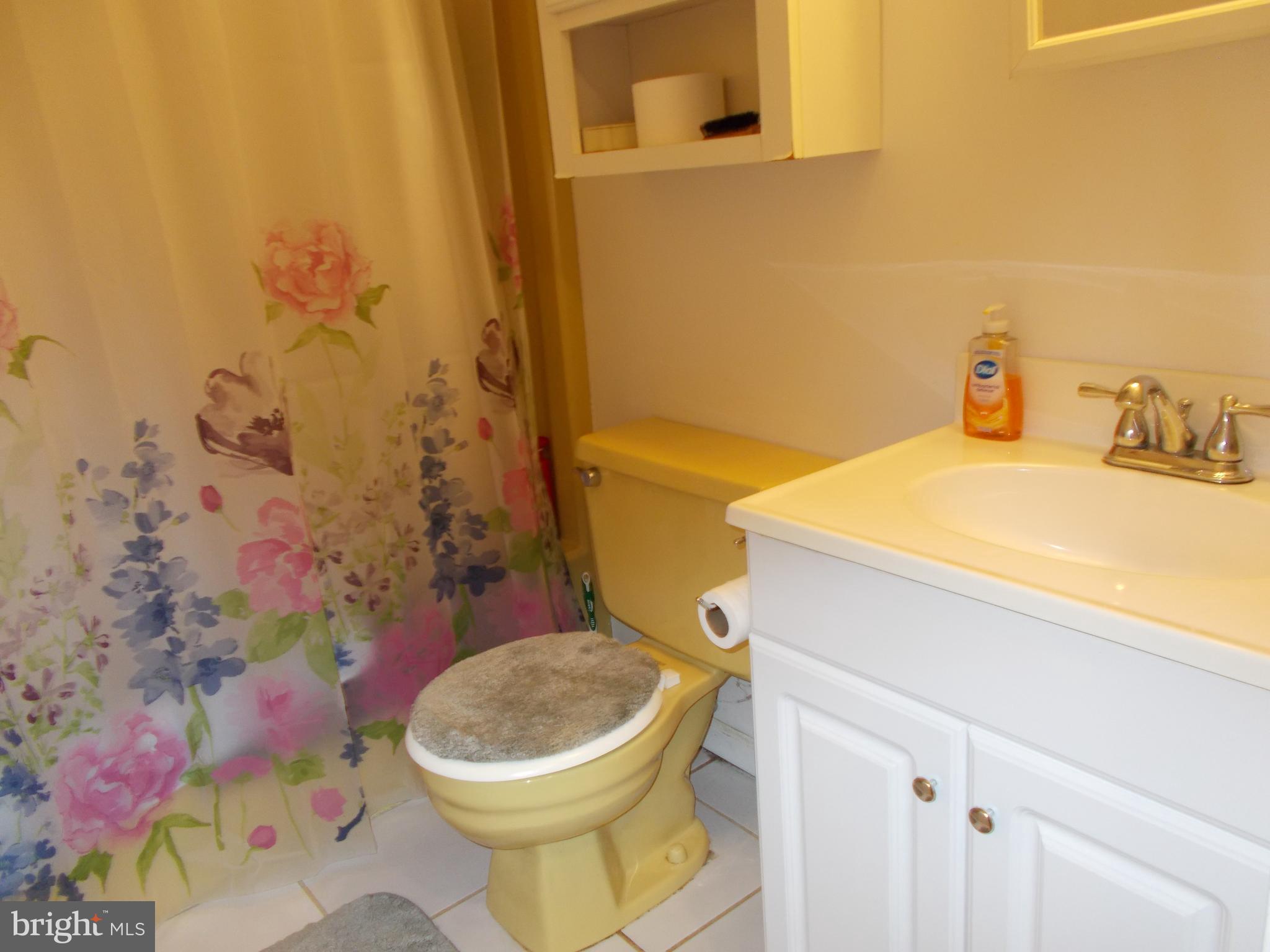 6 Cheyenne Drive Hazleton, PA 18202 - Photo 19 of 20 a bathroom with a sink and a toilet