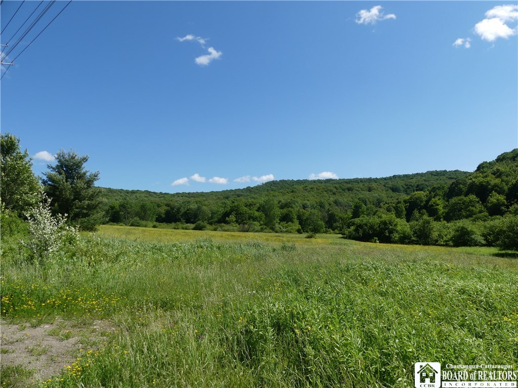 0 Liebler Road Little Valley, NY 14755 - Photo 1 of 1 Gallery Image 1