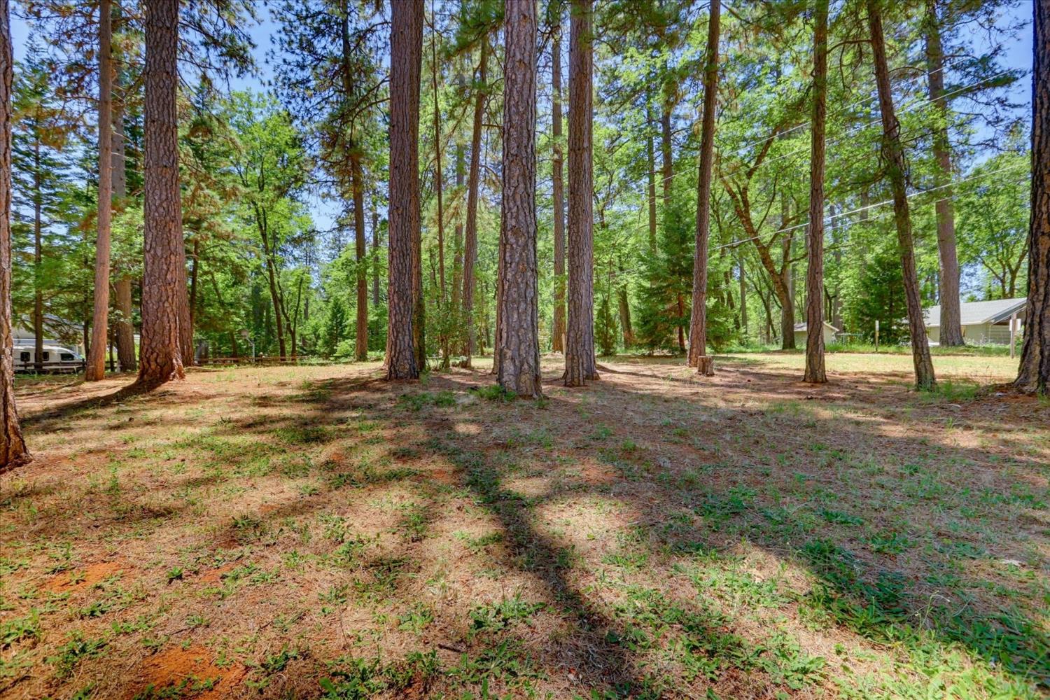 11575 Shockley Road Grass Valley, CA 95945 - Photo 78 of 92