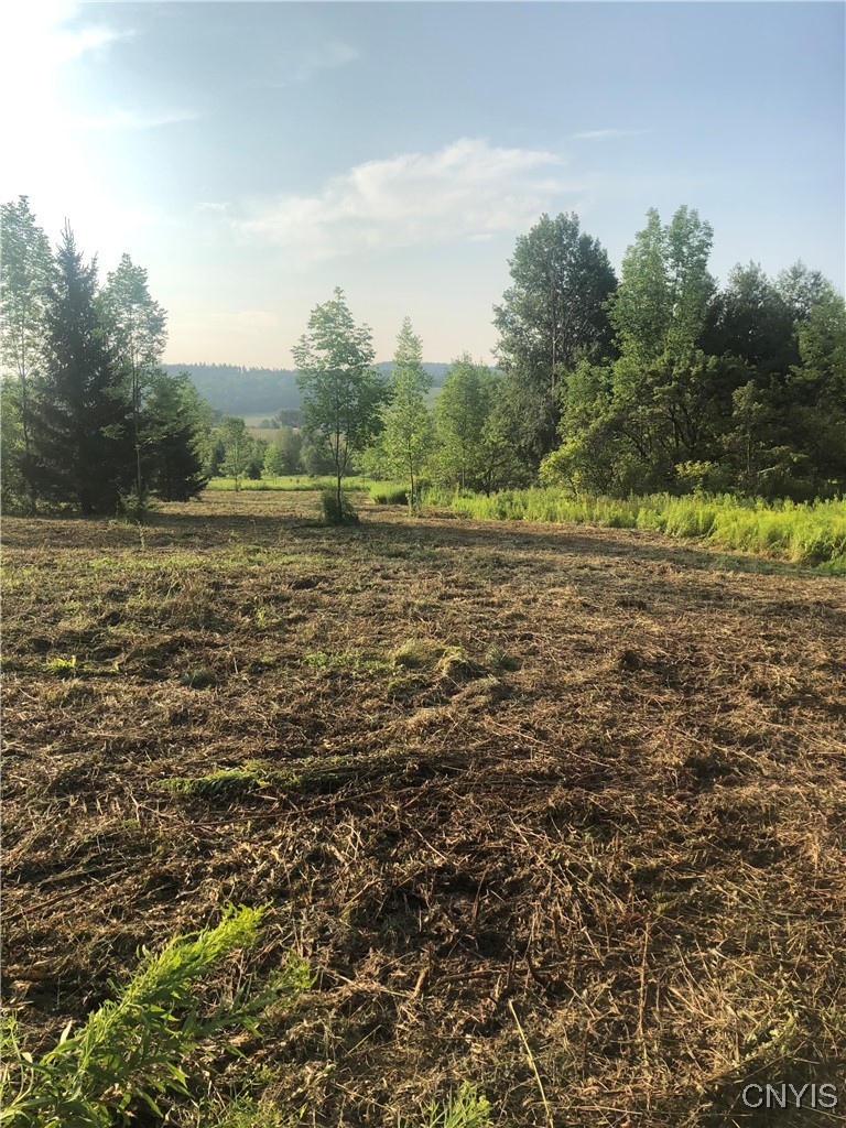 Midlum Road Truxton, NY 13158 - Photo 1 of 1