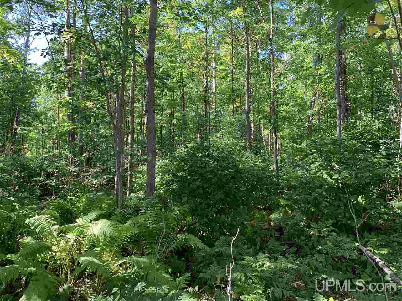 6 Indian Cemetery Road Lanse, MI 49946 - Photo 6 of 16