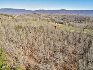 0 Wilson Road Speedwell, TN 37870 - Photo 15 of 27 606255_15