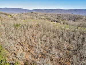 0 Wilson Road Speedwell, TN 37870 - Photo 26 of 27 606255_26