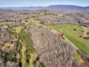 0 Wilson Road Speedwell, TN 37870 - Photo 8 of 27 606255_8