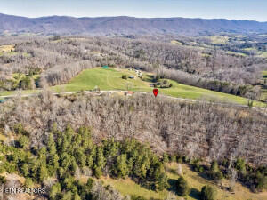 0 Wilson Road Speedwell, TN 37870 - Photo 9 of 27 606255_9