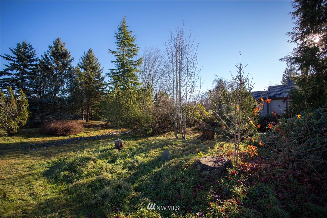 305 East Laurel Road Bellingham, WA 98226 - Photo 7 of 22