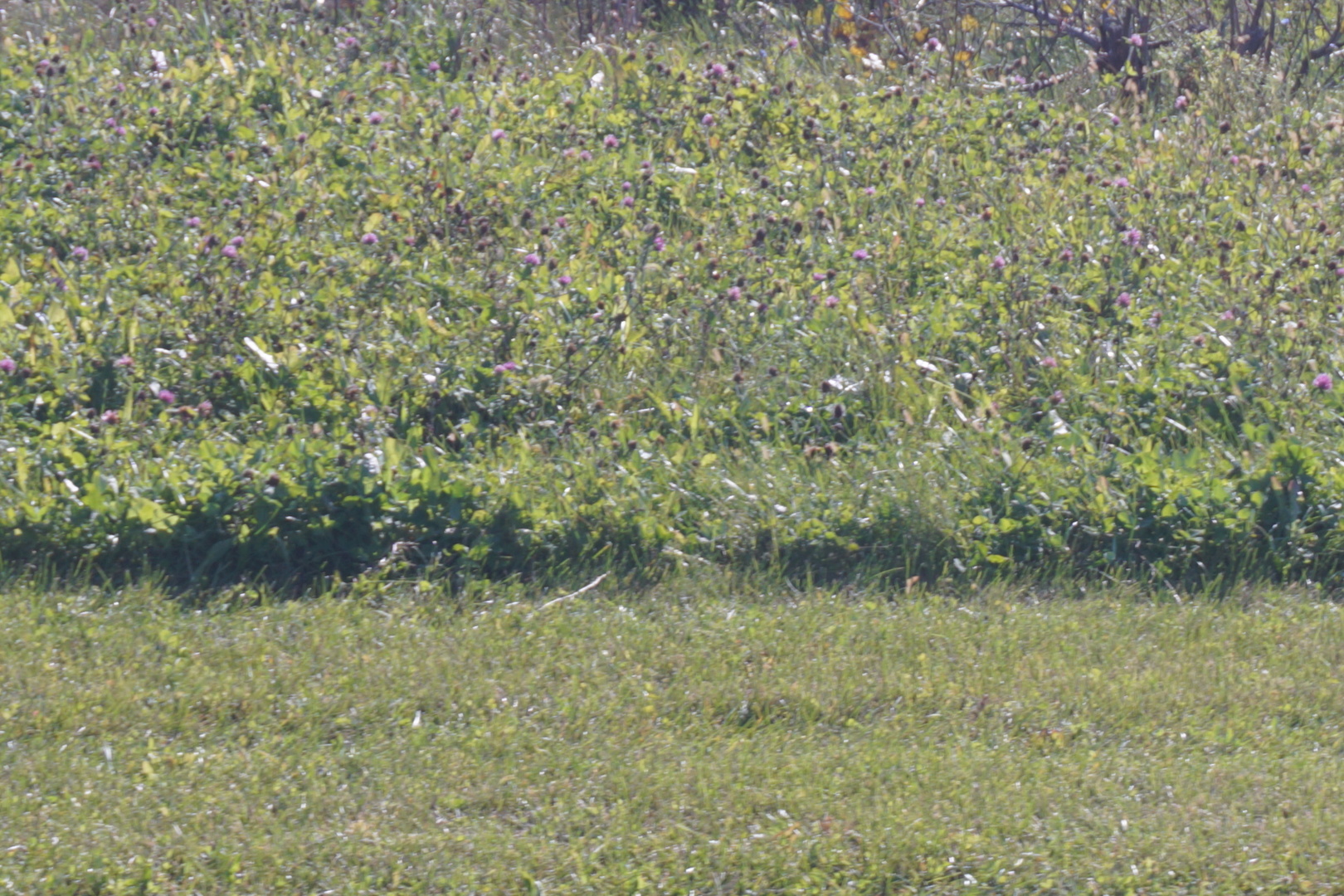 52 South Rd Manhattan Il 60442 Road Manhattan, IL 60442 - Photo 2 of 3 a view of outdoor space and a lake view