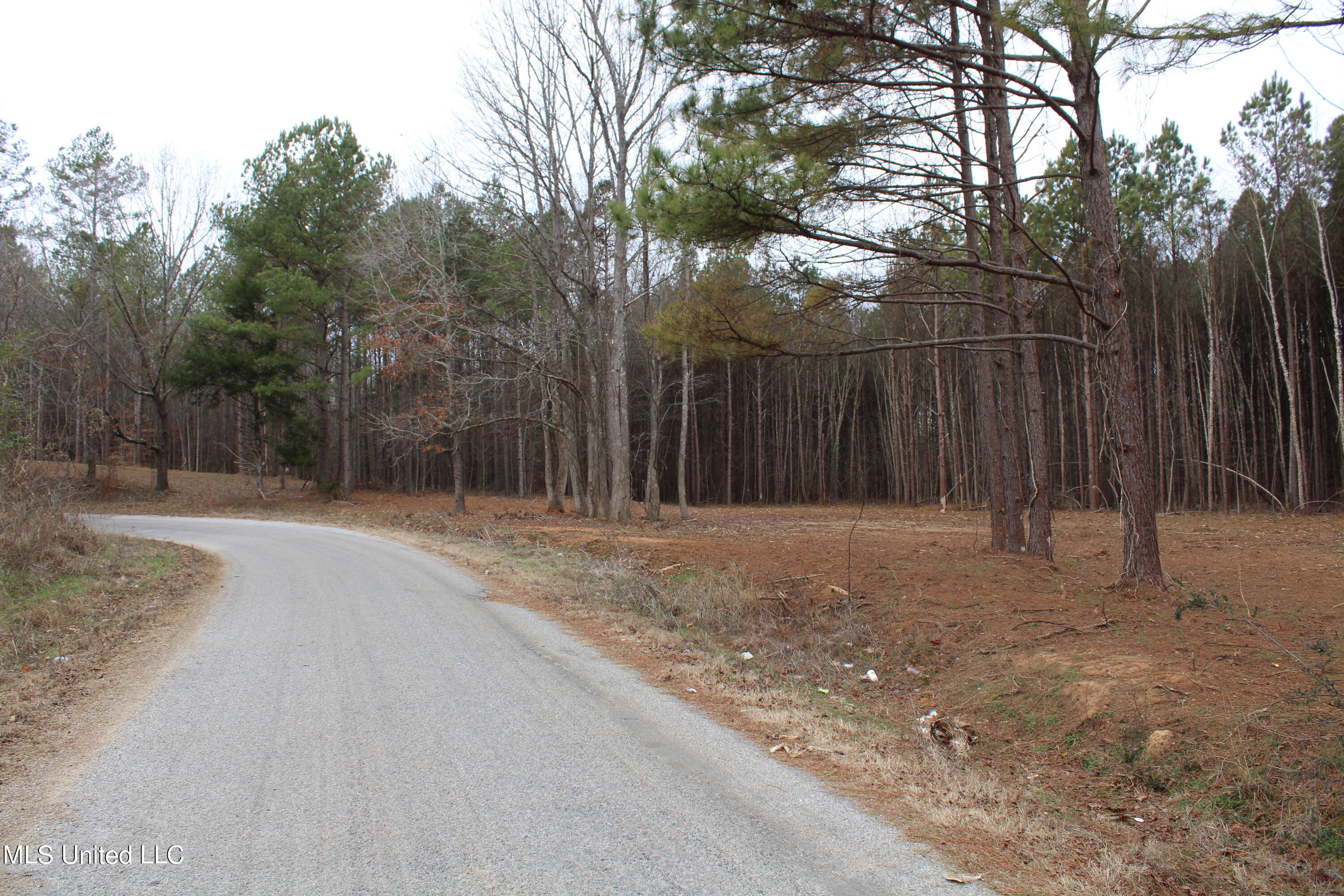 2 Co Road Ripley, MS 38663 - Photo 5 of 22 IMG_2919