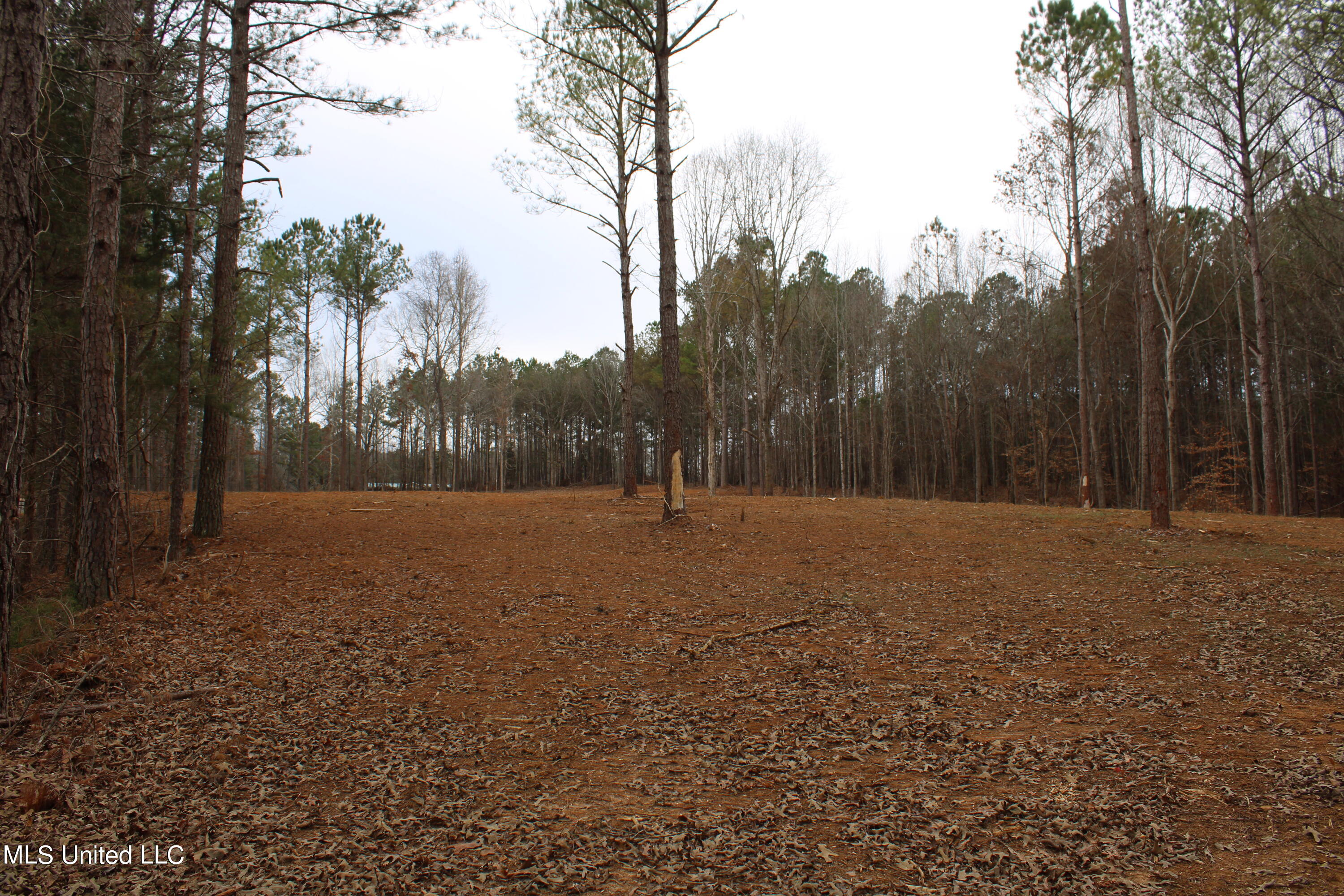 2 Co Road Ripley, MS 38663 - Photo 9 of 22 IMG_2923