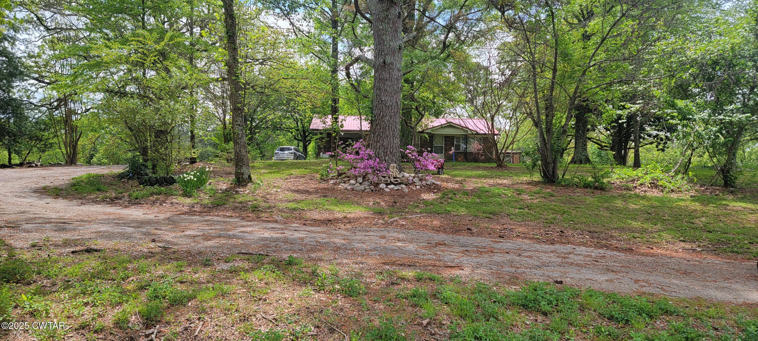 a view of a backyard with large trees