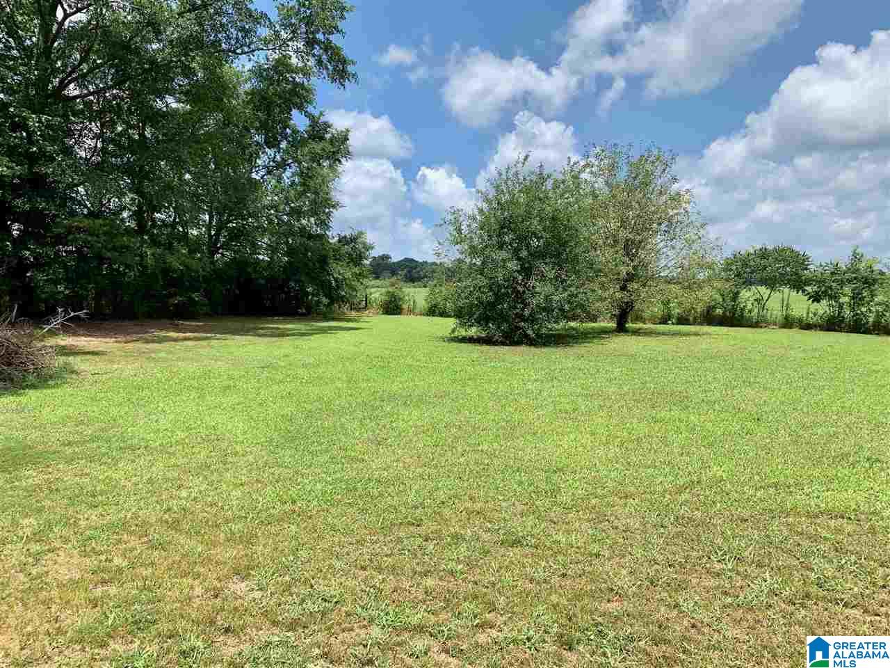1600 Timmerman Road Blountsville, AL 35031 - Photo 28 of 28