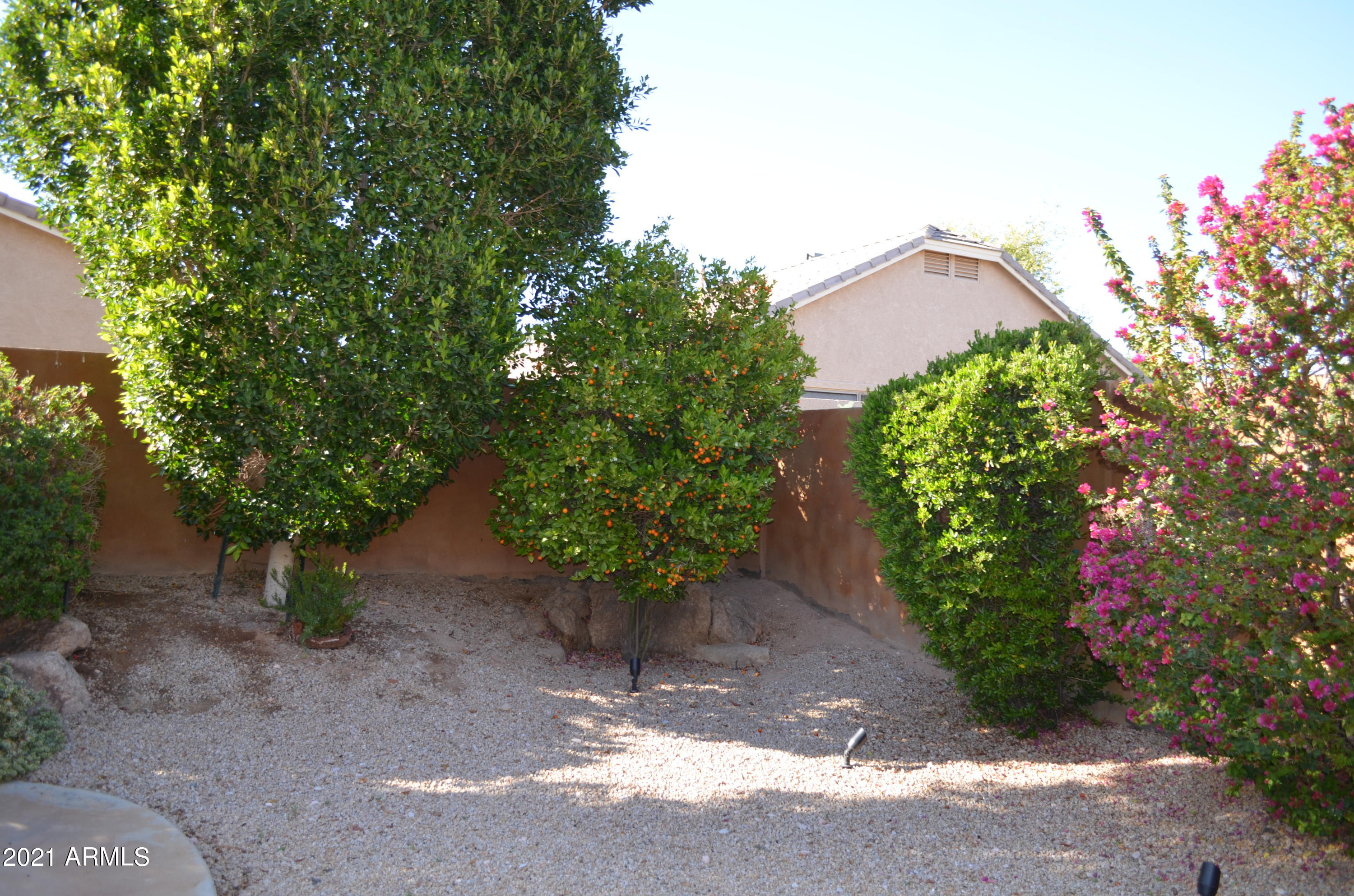2500 South Sunnyvale Avenue Gilbert, AZ 85295 - Photo 26 of 30 DSC_0049