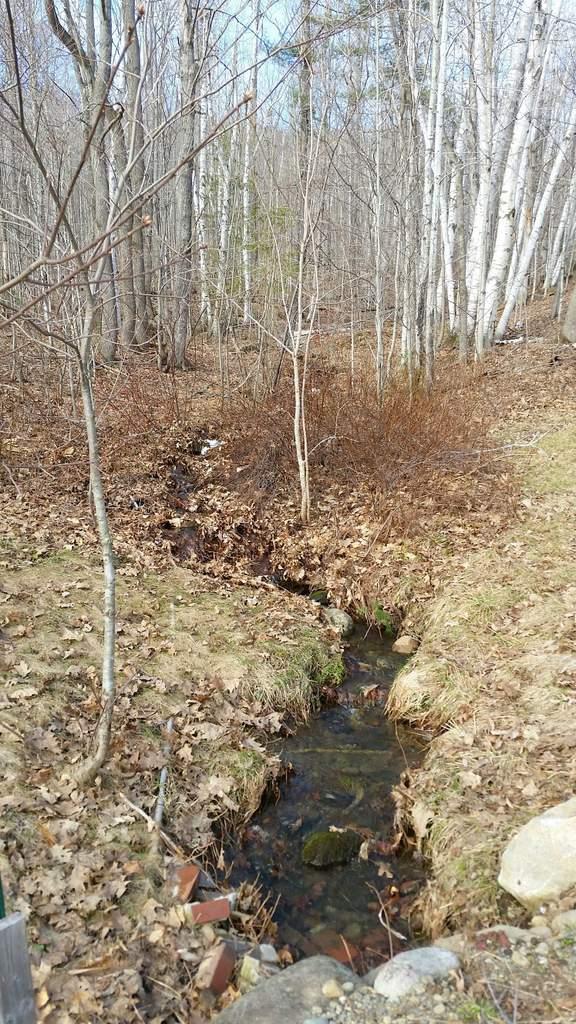 177 Salem Road Phillips, ME 04966 - Photo 25 of 27 Land/Lot
