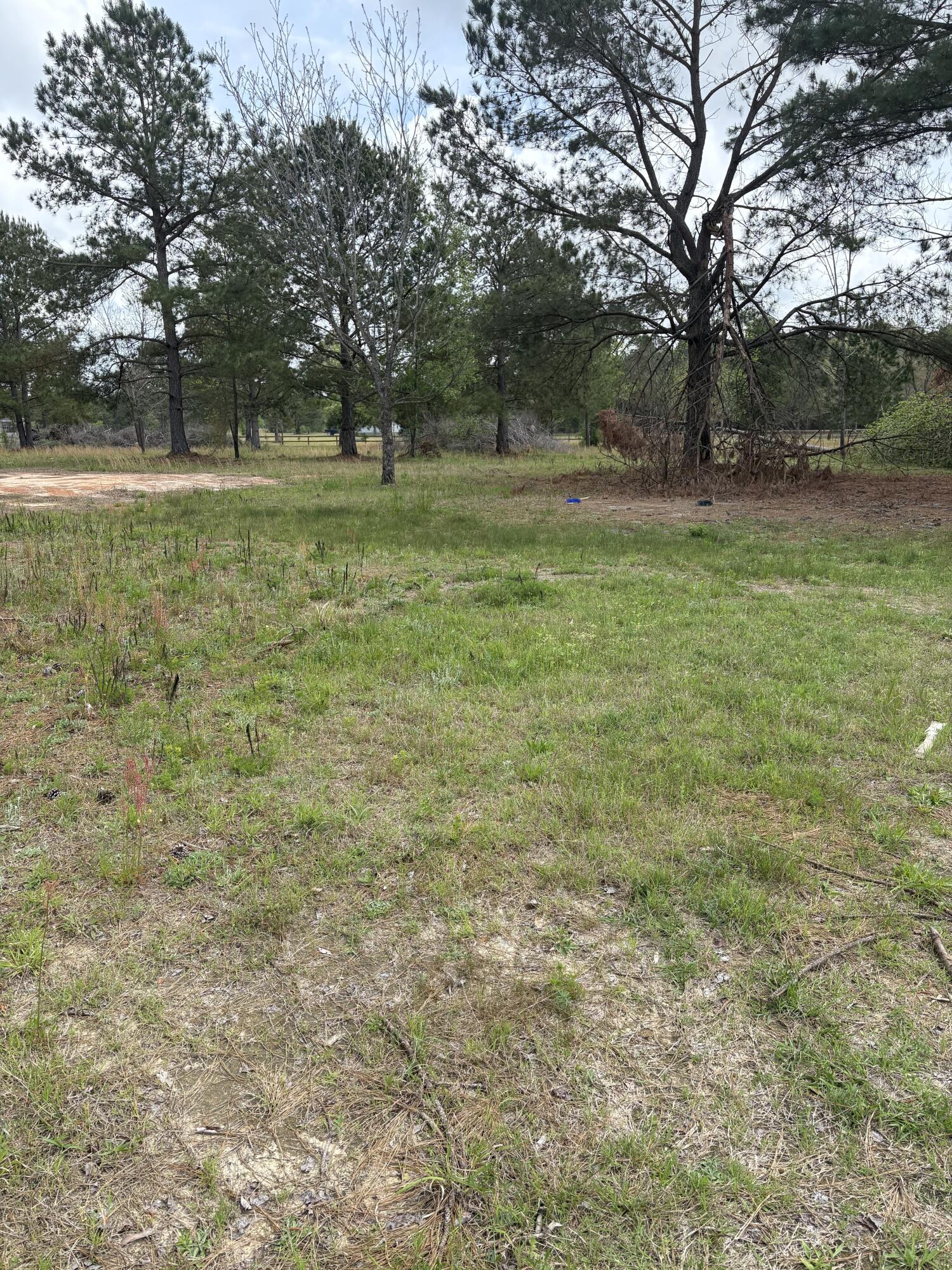 910 Blythe Road Hephzibah, GA 30815 - Photo 2 of 8 1