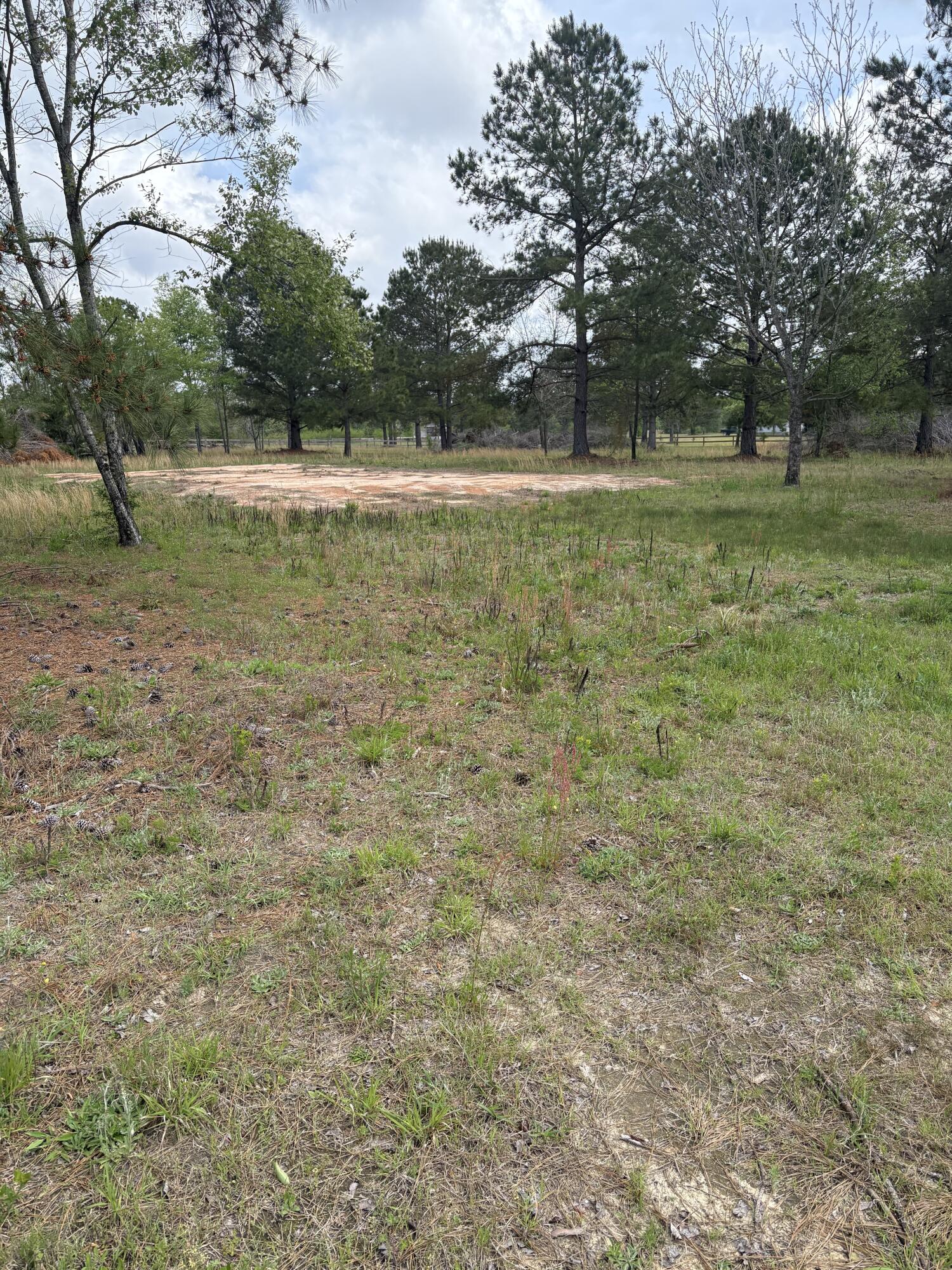 910 Blythe Road Hephzibah, GA 30815 - Photo 3 of 8 2