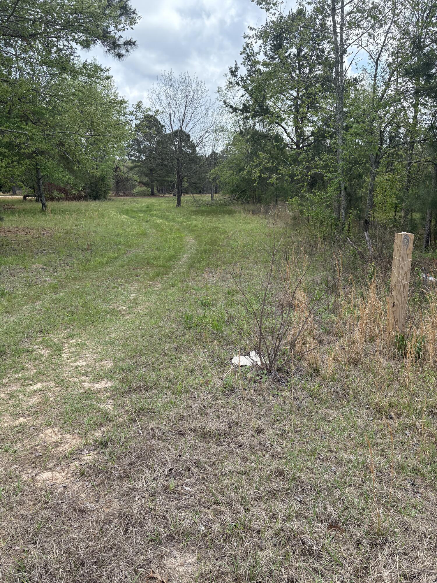 910 Blythe Road Hephzibah, GA 30815 - Photo 4 of 8 3