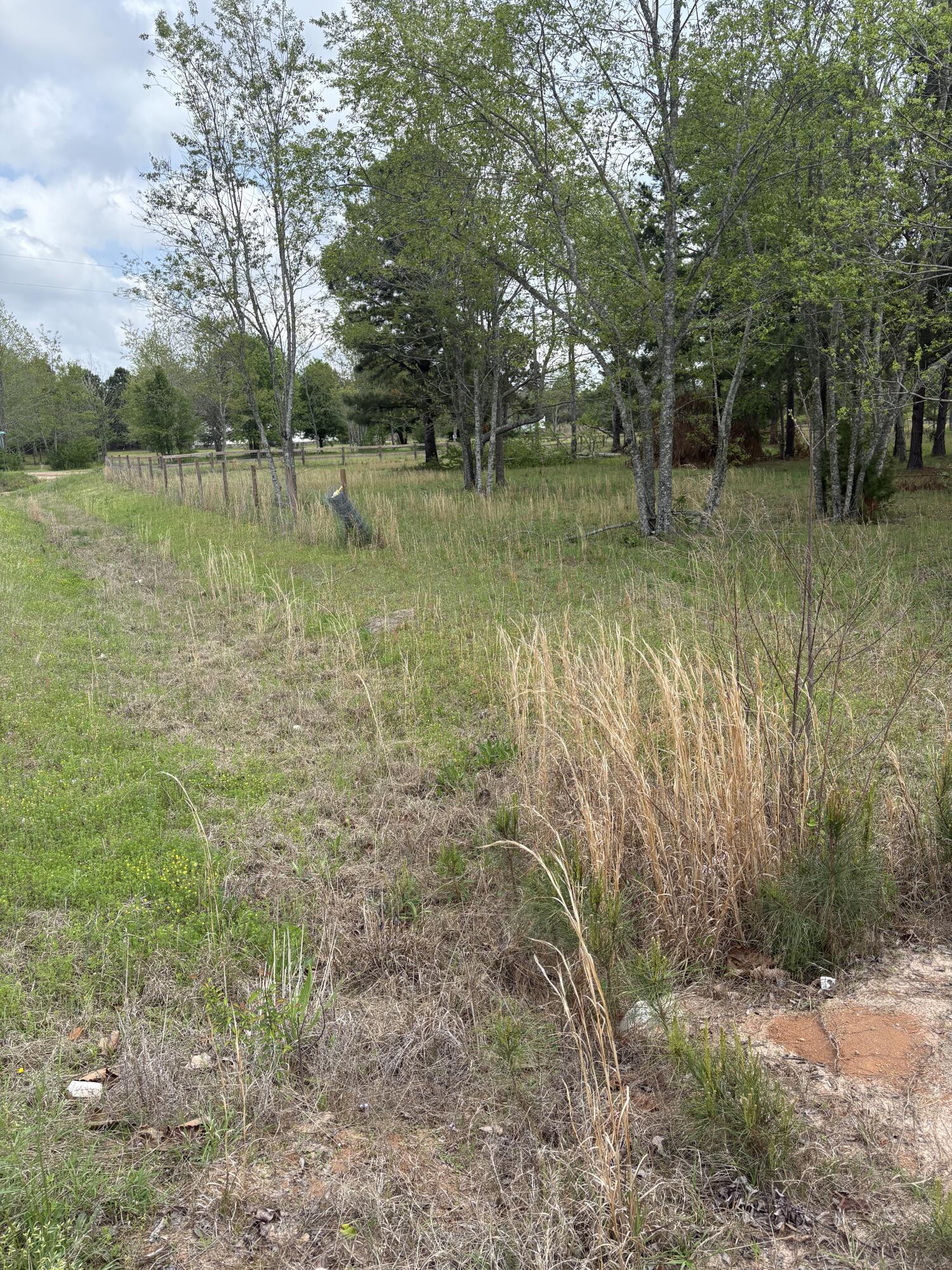 910 Blythe Road Hephzibah, GA 30815 - Photo 5 of 8 7