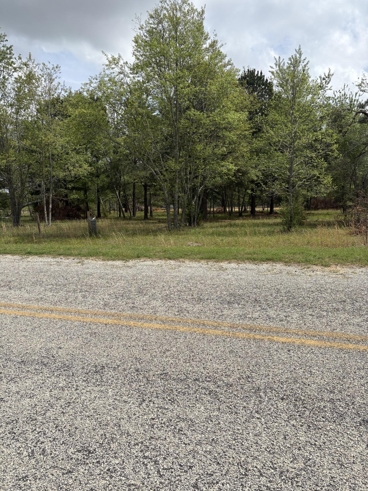 910 Blythe Road Hephzibah, GA 30815 - Photo 7 of 8 9