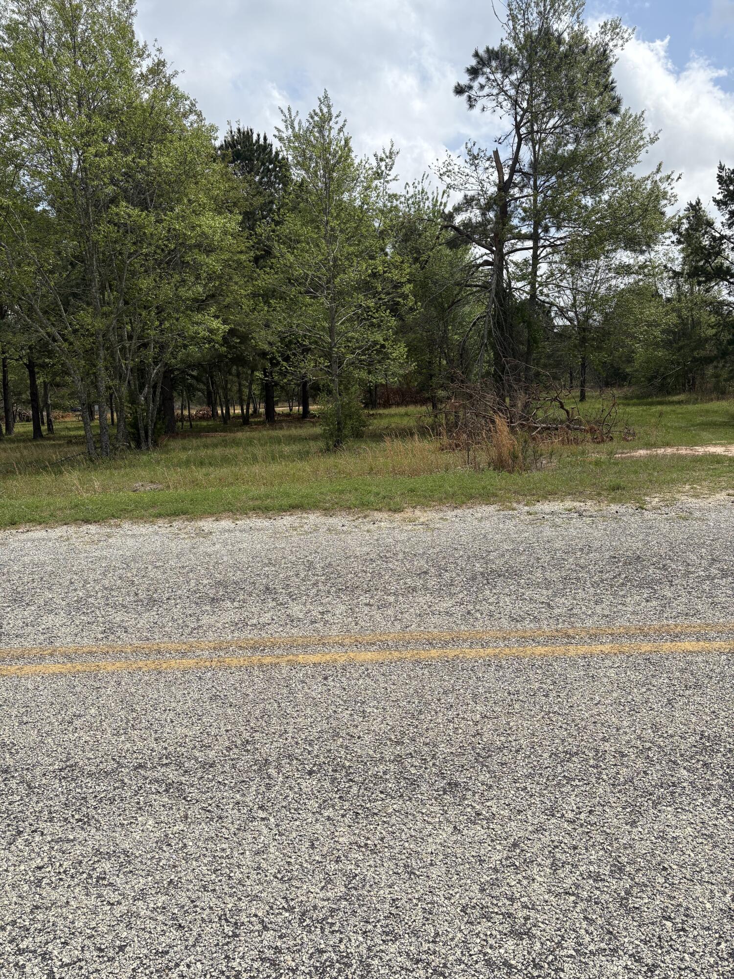910 Blythe Road Hephzibah, GA 30815 - Photo 8 of 8 10