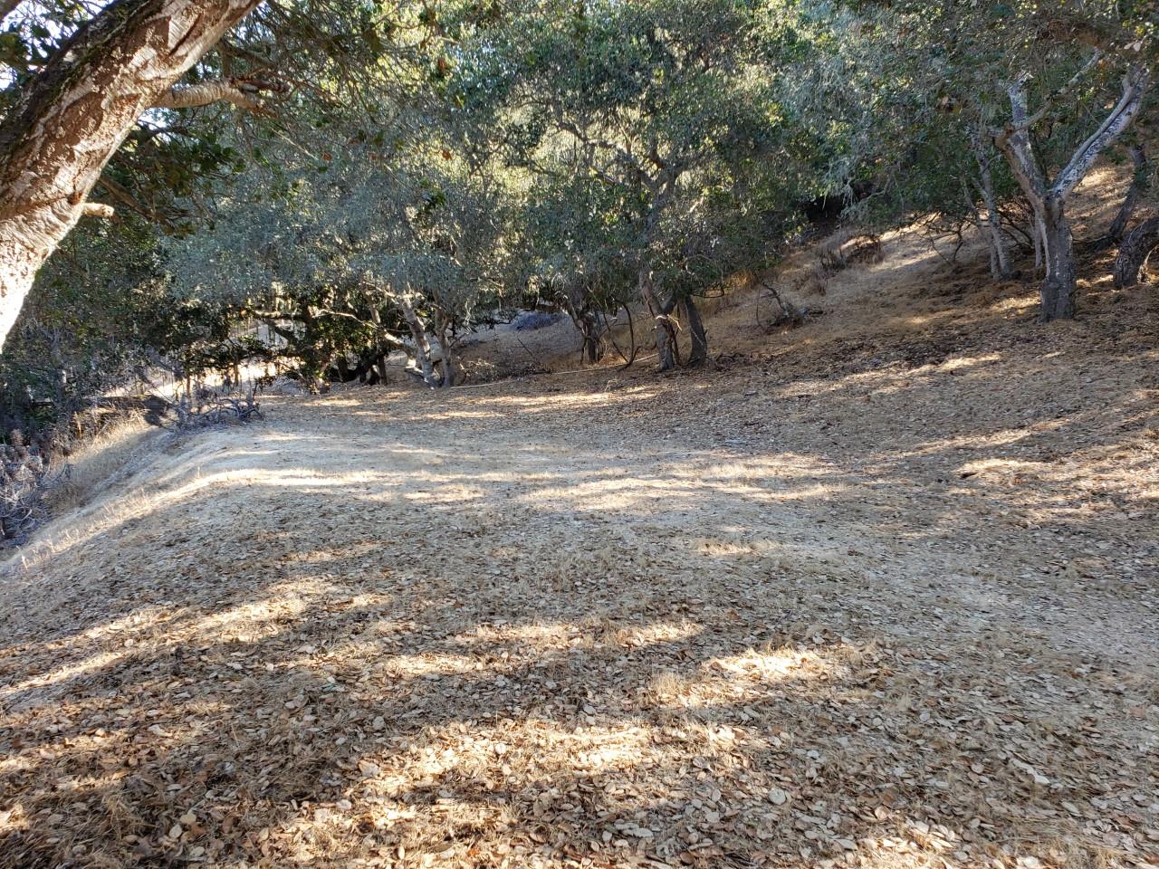 24563 Rimrock Canyon Road Salinas, CA 93908 - Photo 43 of 49 Gallery Image 43