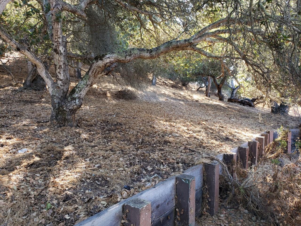 24563 Rimrock Canyon Road Salinas, CA 93908 - Photo 44 of 49 Gallery Image 44
