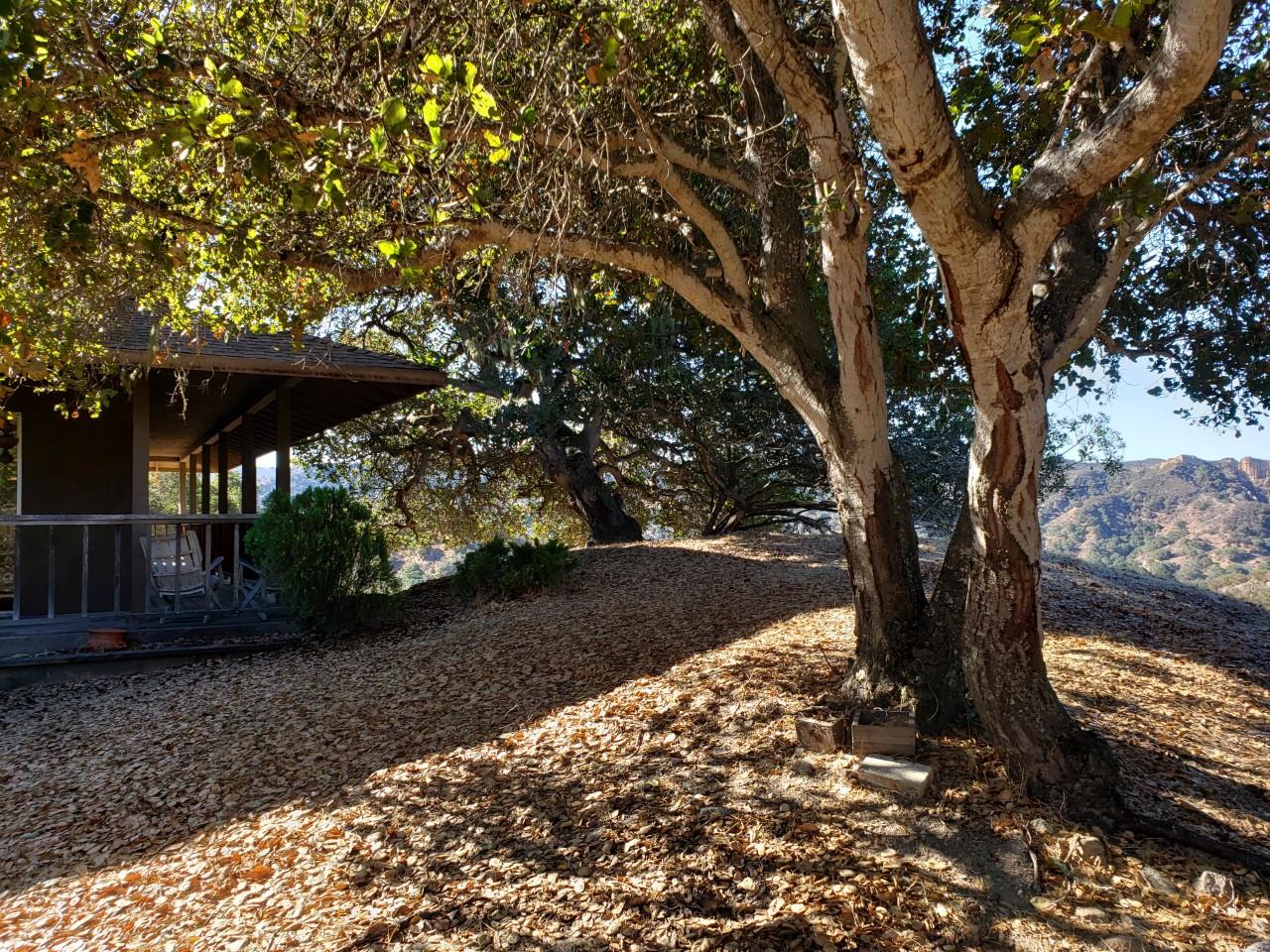 24563 Rimrock Canyon Road Salinas, CA 93908 - Photo 9 of 49 Gallery Image 9